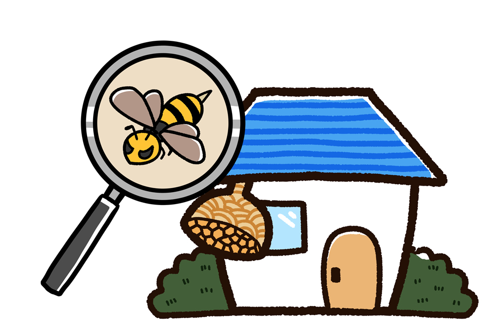 蜂の巣を安全に駆除する方法について！ポイントや注意点を詳しく解説